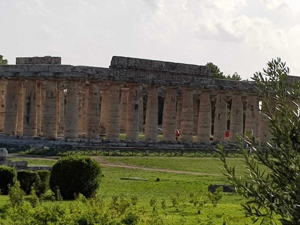 Ruines de Paestum